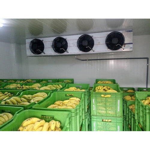 Automatic Banana Ripening Chamber, 10 Degreec To 15 Degreec, Capacity: 3 Ton