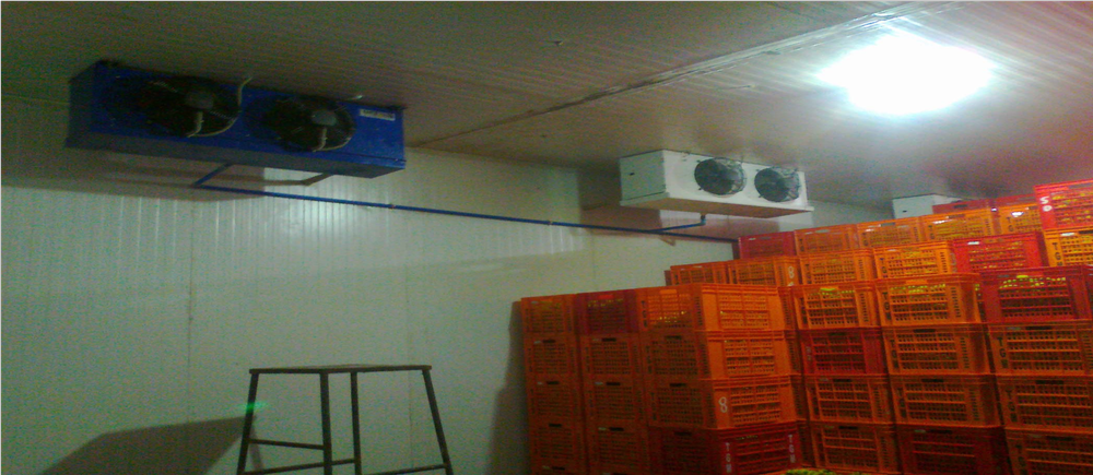 Automatic Fruit Ripening Chamber, -5 To 30 Degreec, 5 Ton