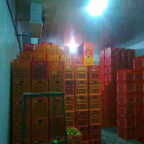 Automatic Ripening Chamber, +10 C To +15 C, 01 Ton To 1000 Ton