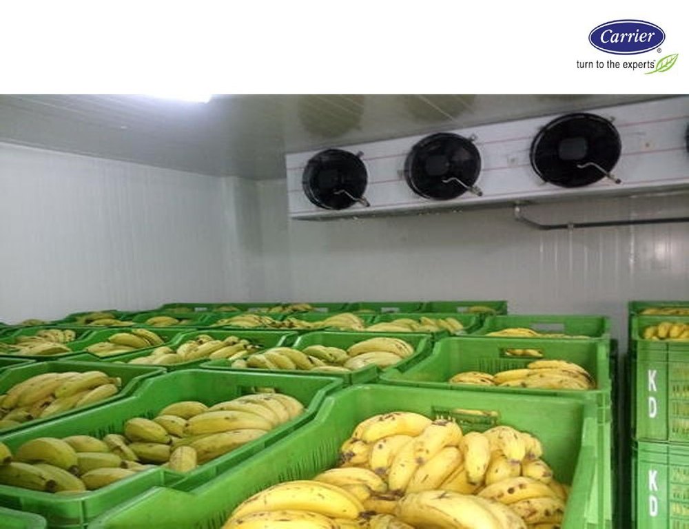 Banana Ripening Chamber