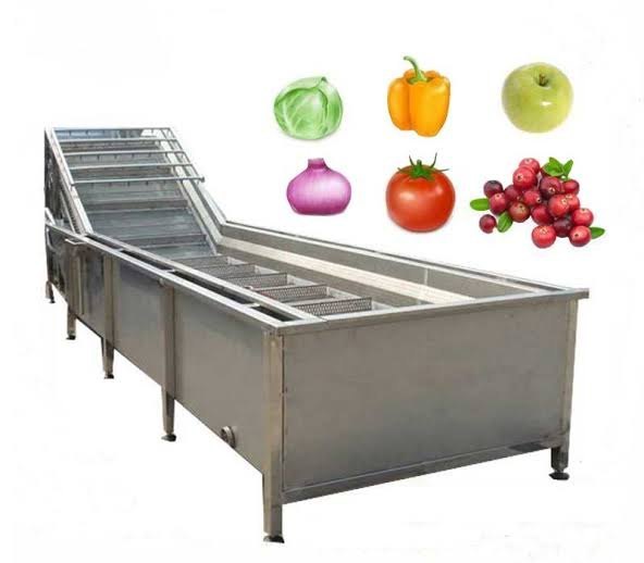 Fruit And Vegetable Bubble Washer, 100 Kg/hr