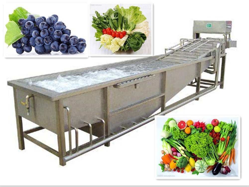 Vegitable Washing Equipments, 100 Kg/hr