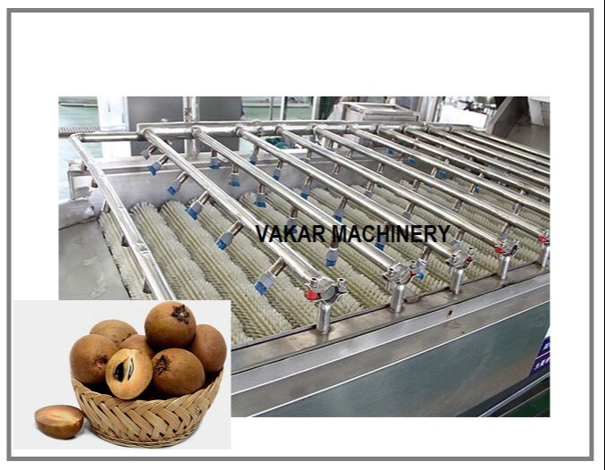SAPOTA FRUIT WASHING UNIT, 400 Kg/hr