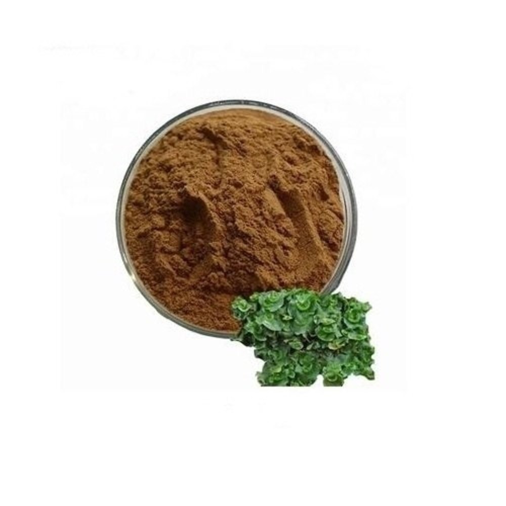 Brown Liverwort Extracts ., Packaging Size: 50 Kg, Packaging Type: Hdpe Drum