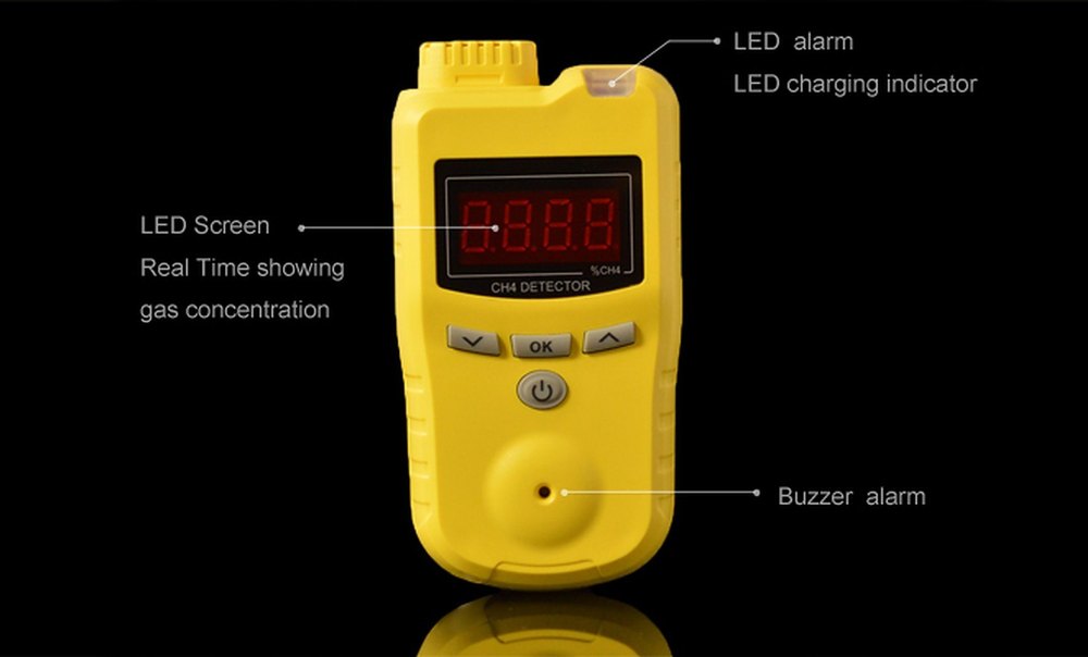 Sensepoint XCD3100 Combustible Gas Detector