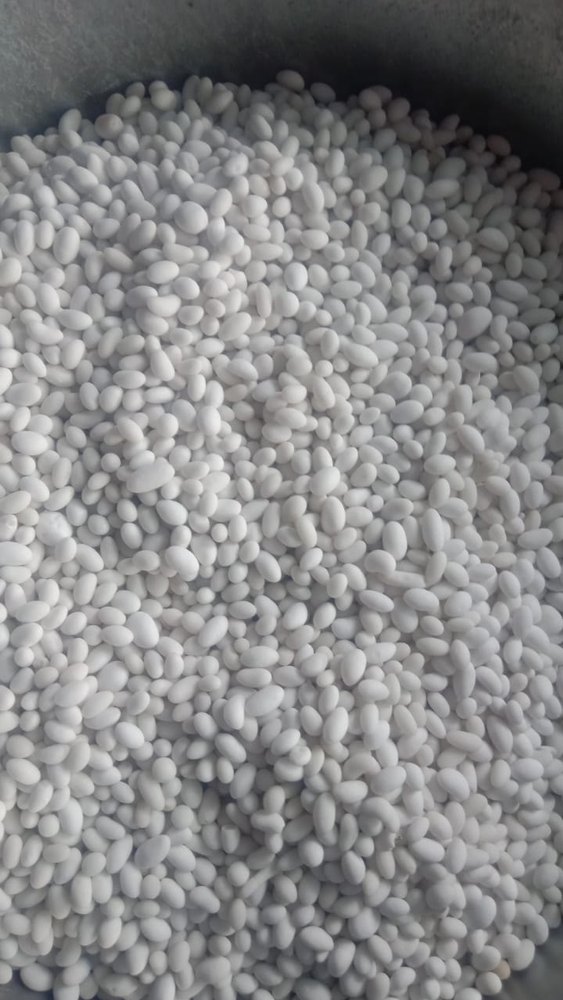 White Sweet Sugar Plain Madrasi Saunf, Packaging Type: Loose
