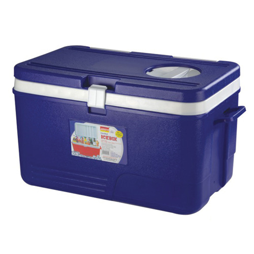 Plastic Blue Ice Storage Boxes