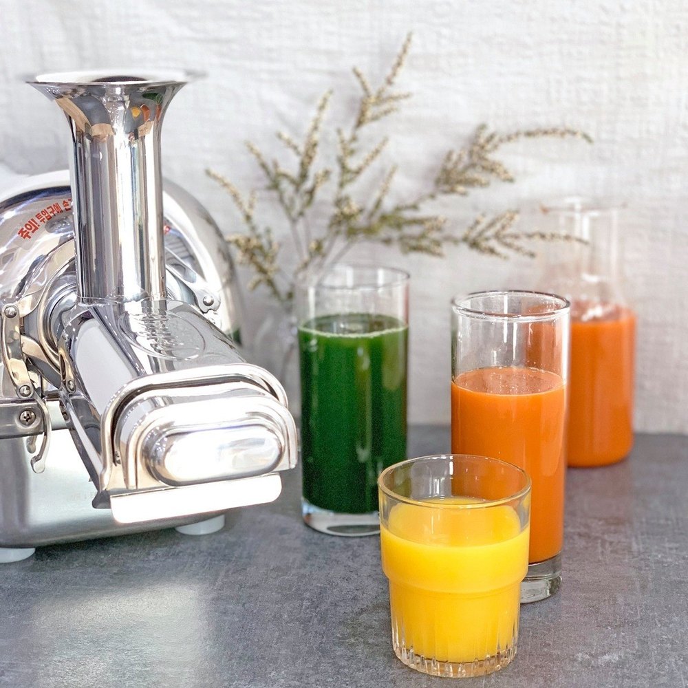 Angel Cold Press Juicer Twin Gear Type