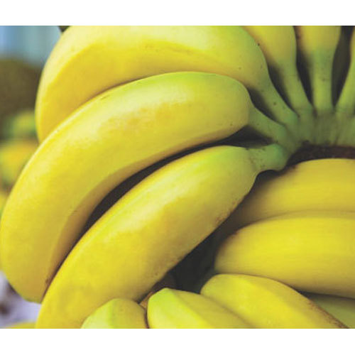 Banana Puree