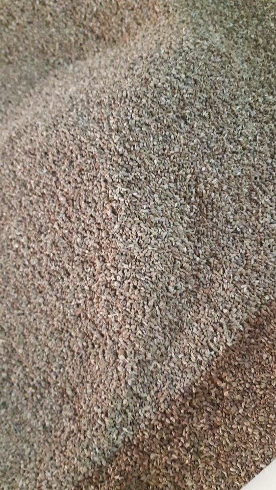 Ajwain Seed, 50 Kg