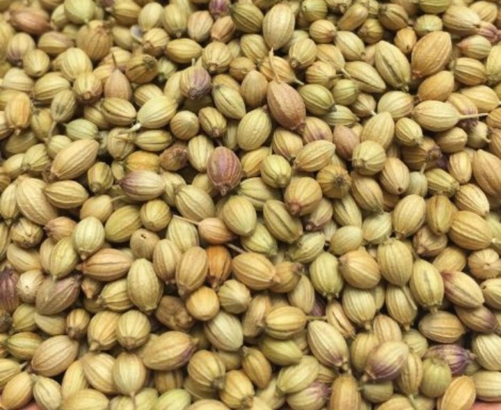 Brown Coriander Seed, Packaging Type: Packet, Packaging Size: 100g