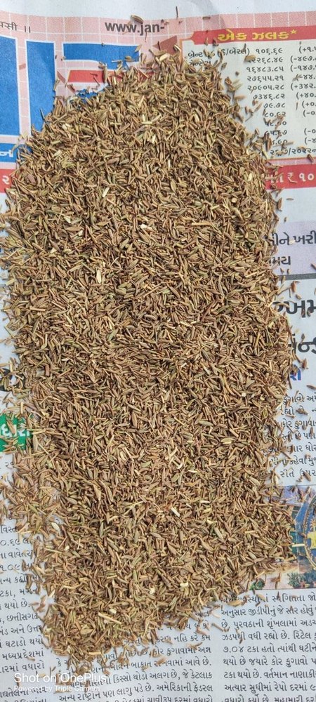 Jeera Tukdi