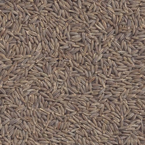 Cumin Seeds Singapore Quality 99.5%