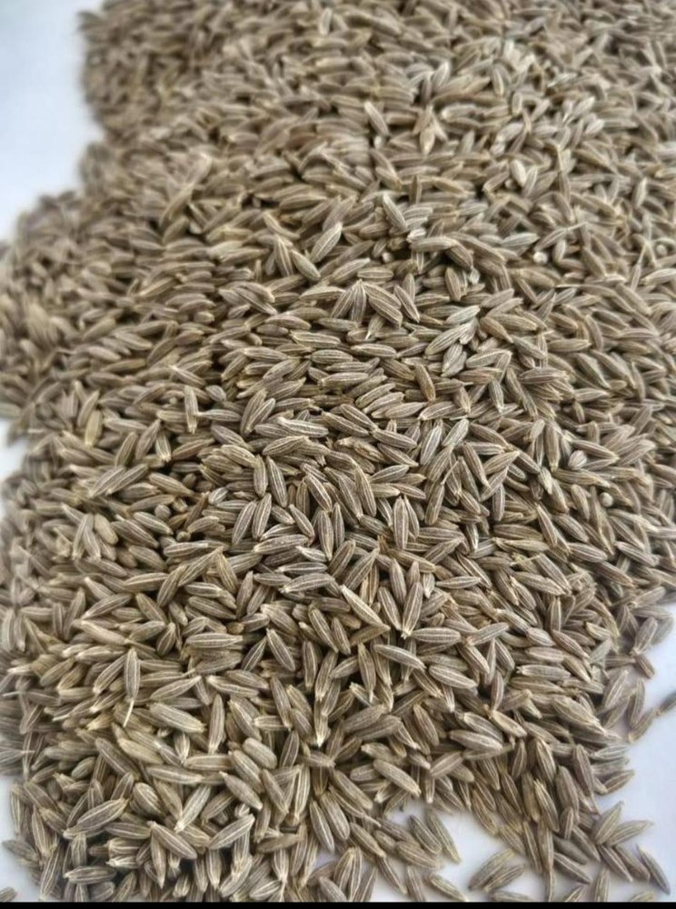 Brown Cumin Seeds, Packaging Type: PP Bag