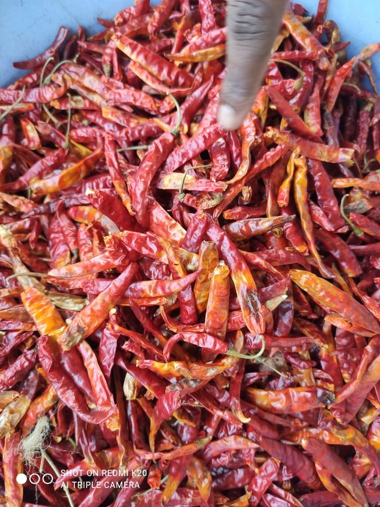 Guntur Low Quality Verified Red Chillies ( Bulk Orders ONLY)), 25/ 50/ kg Gunny bags packing
