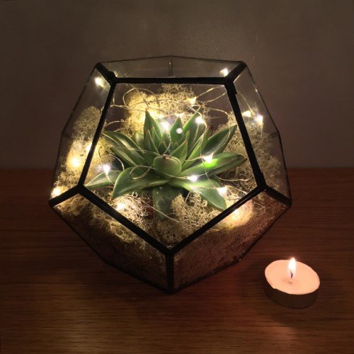Black Stylish Glass Terrarium, Packaging Type: Tharmacol Export Packaging, Size: 8.5*8.5*4 Inch