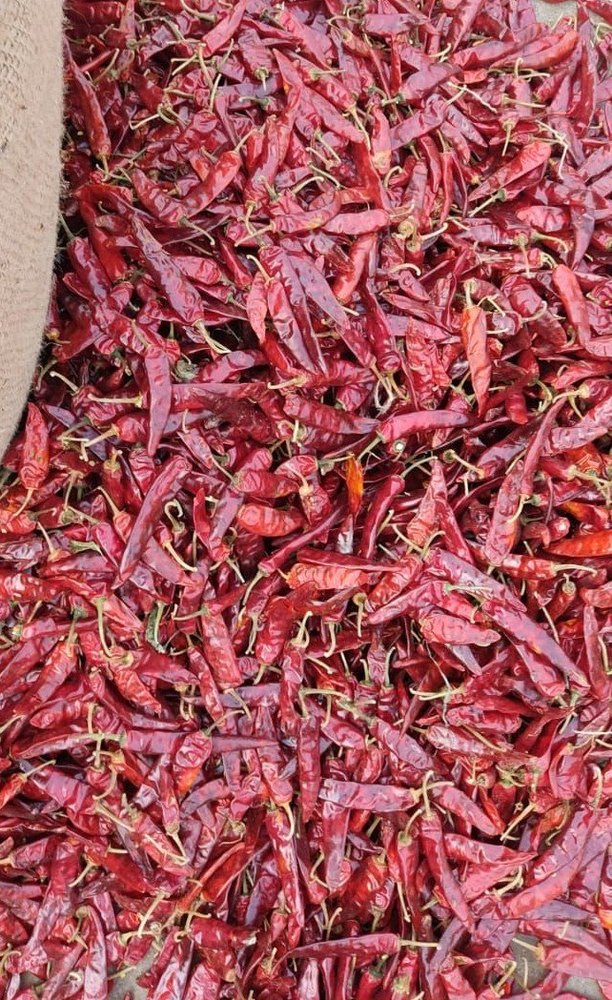 334 Dry Red Chili
