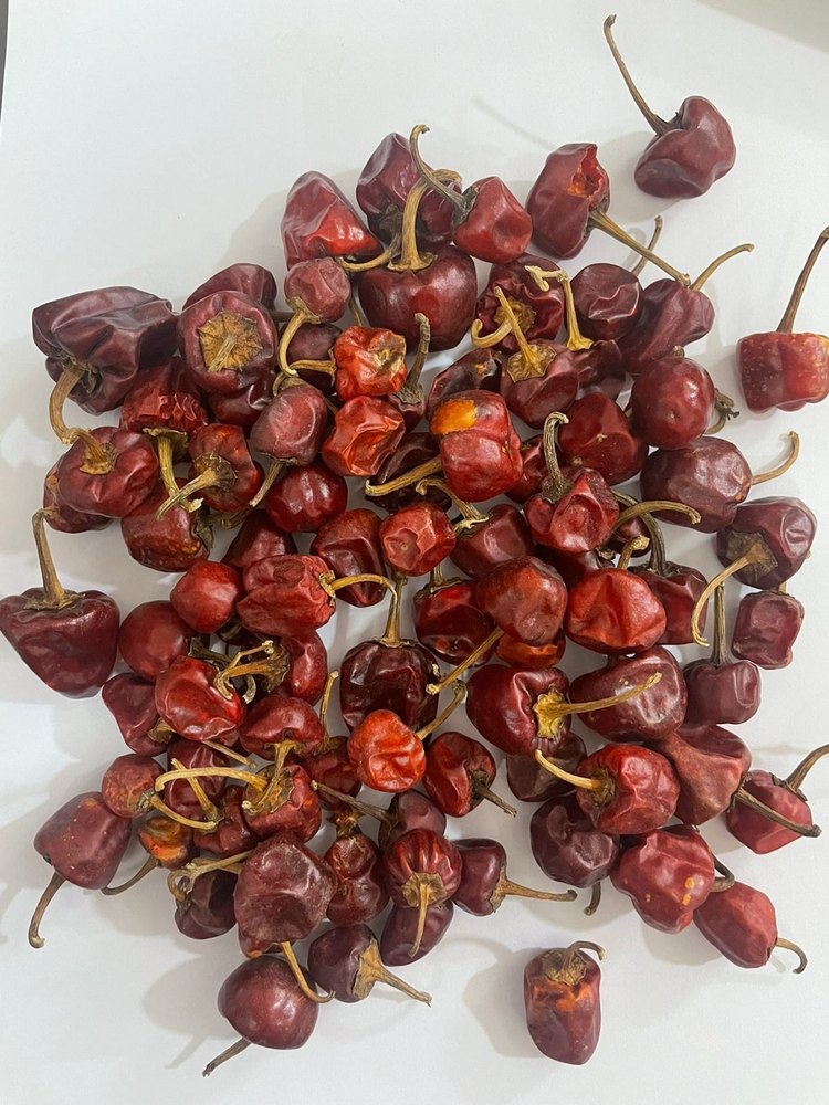 A Grade Round Red Chilli with stem, Andhra Pradesh, Packaging Size: 25KG BAG
