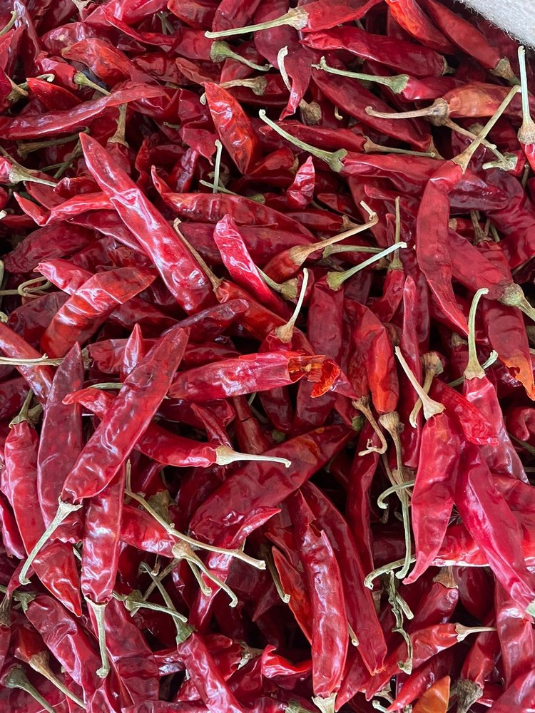 Guntur Dried Chilly Pepper, 25 Kg