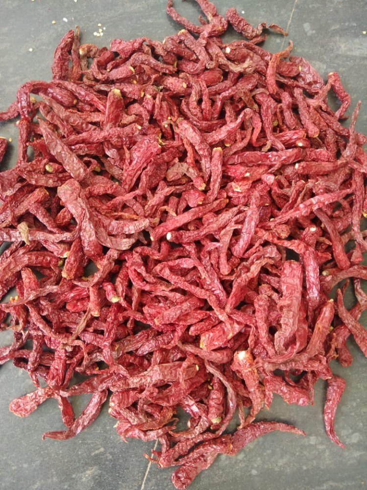 With Stem Byadgi Red Chillies
