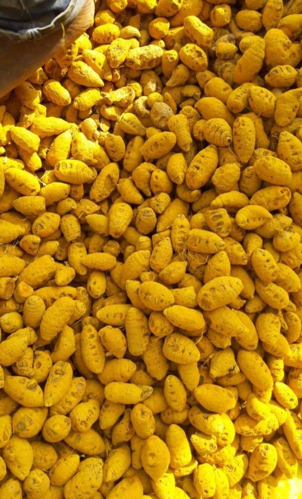 Erode Turmeric Finger ( Bulk Orders Only)), 25 Kg