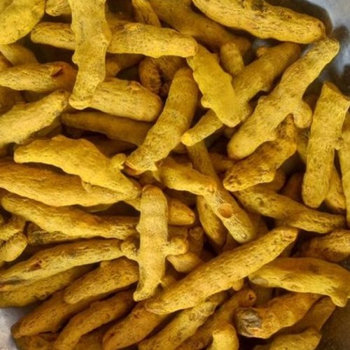 Double Polish Turmeric Finger, Packaging Size: 25 Kg, Curcuma Longa