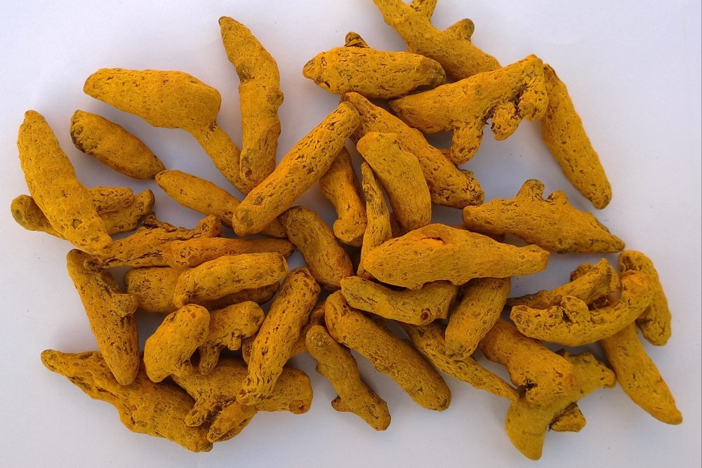 Turmeric Fingers