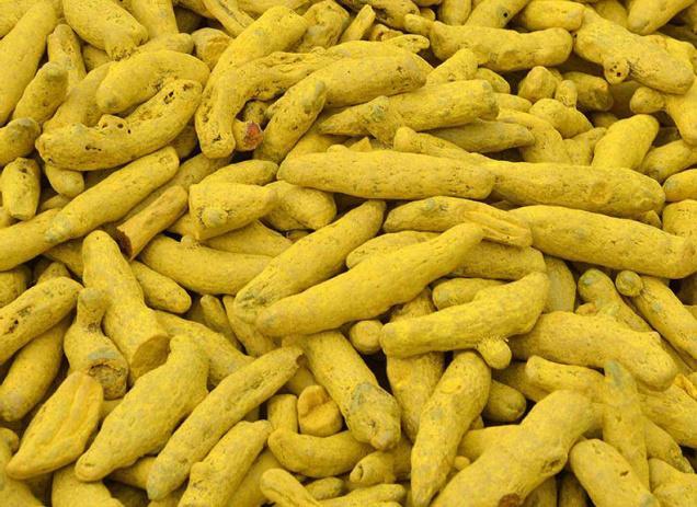 Turmeric Finger, 10 Kg