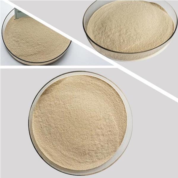 GK White Bread Improvers, For Bakery, Powder