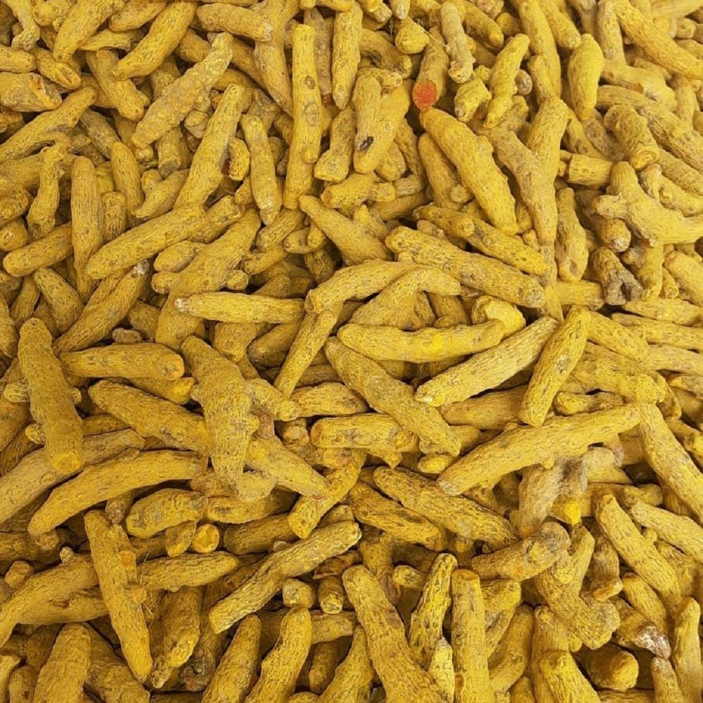 Turmeric Finger, 1 Kg