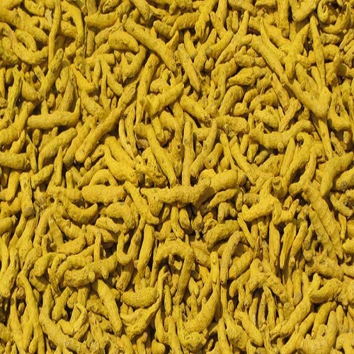 Raw Turmeric Finger, For Food, Medicine, Packaging: Packet