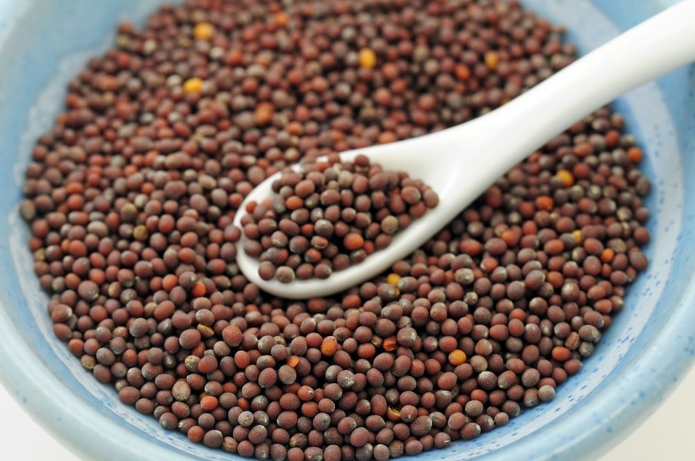 Pure Crop Natural Mustard Seed, For Farming, Pack Type: Pp Bag