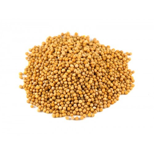 Sinhal Sortex Cleaned Yellow Mustard Seeds - Pilli Sarso