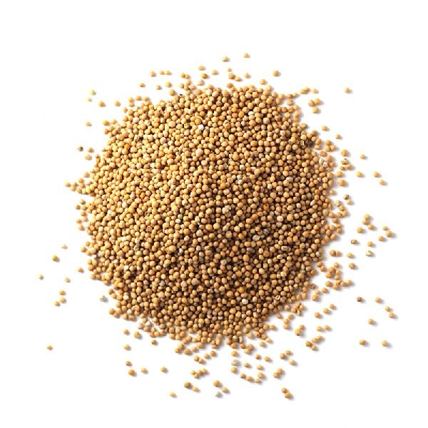 Mustard Seeds