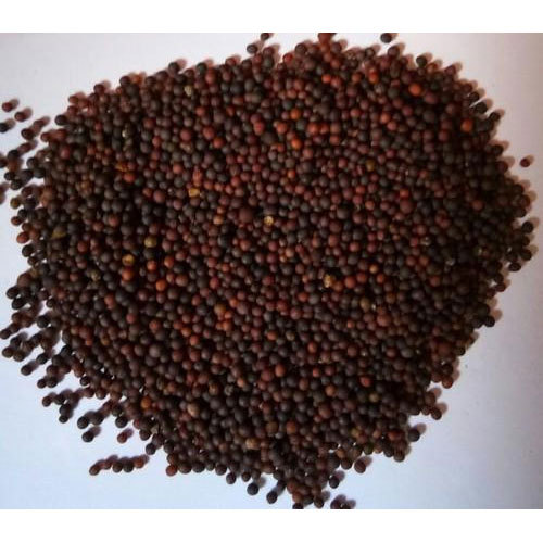 Vedant Mustard Seed