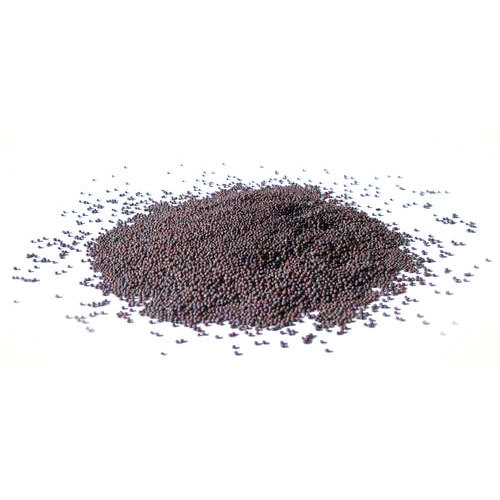 Kanishka Natural Mustard Seed (Rai) For Cooking, Packaging Type: PP Bag