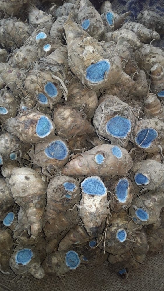 Black Turmeric, 1 Kg