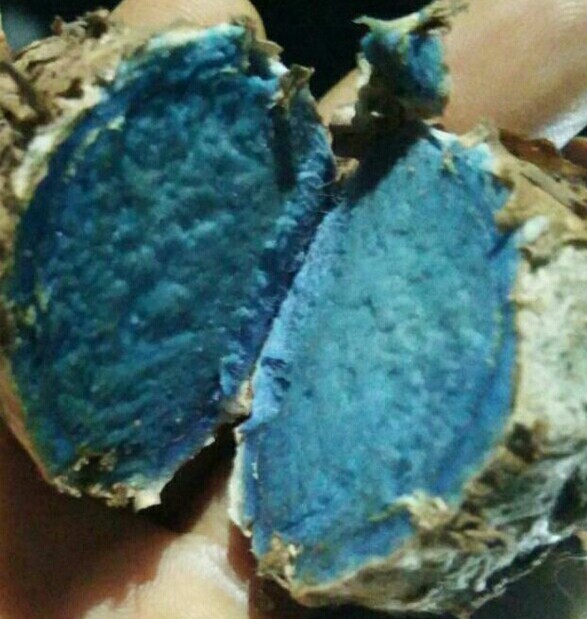 Black Turmeric ( Kali Haldi), 1 Kg