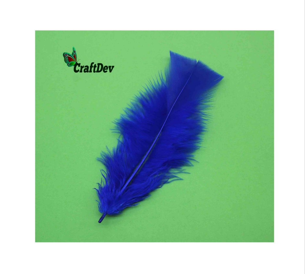 Multicolor Feather Soft Big, Model Name/number: Craftdev