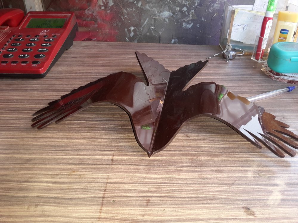 Acrylic Bird Interior Service