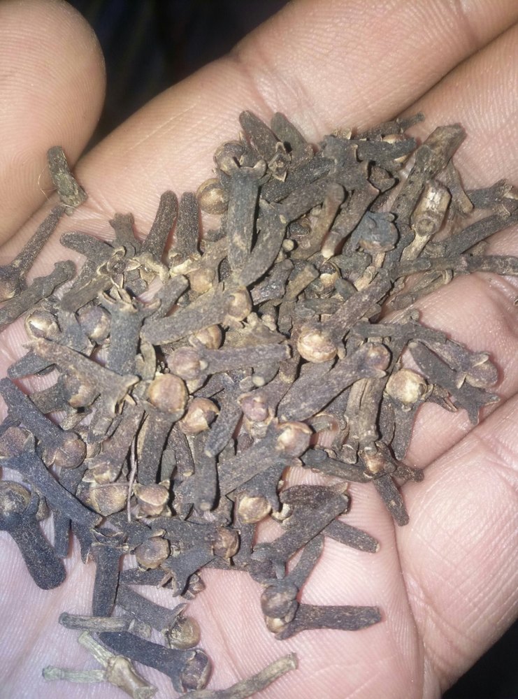 Dehydrated, Dried Natural kashmiri Dry Clove, 25kg, Packaging: Packet