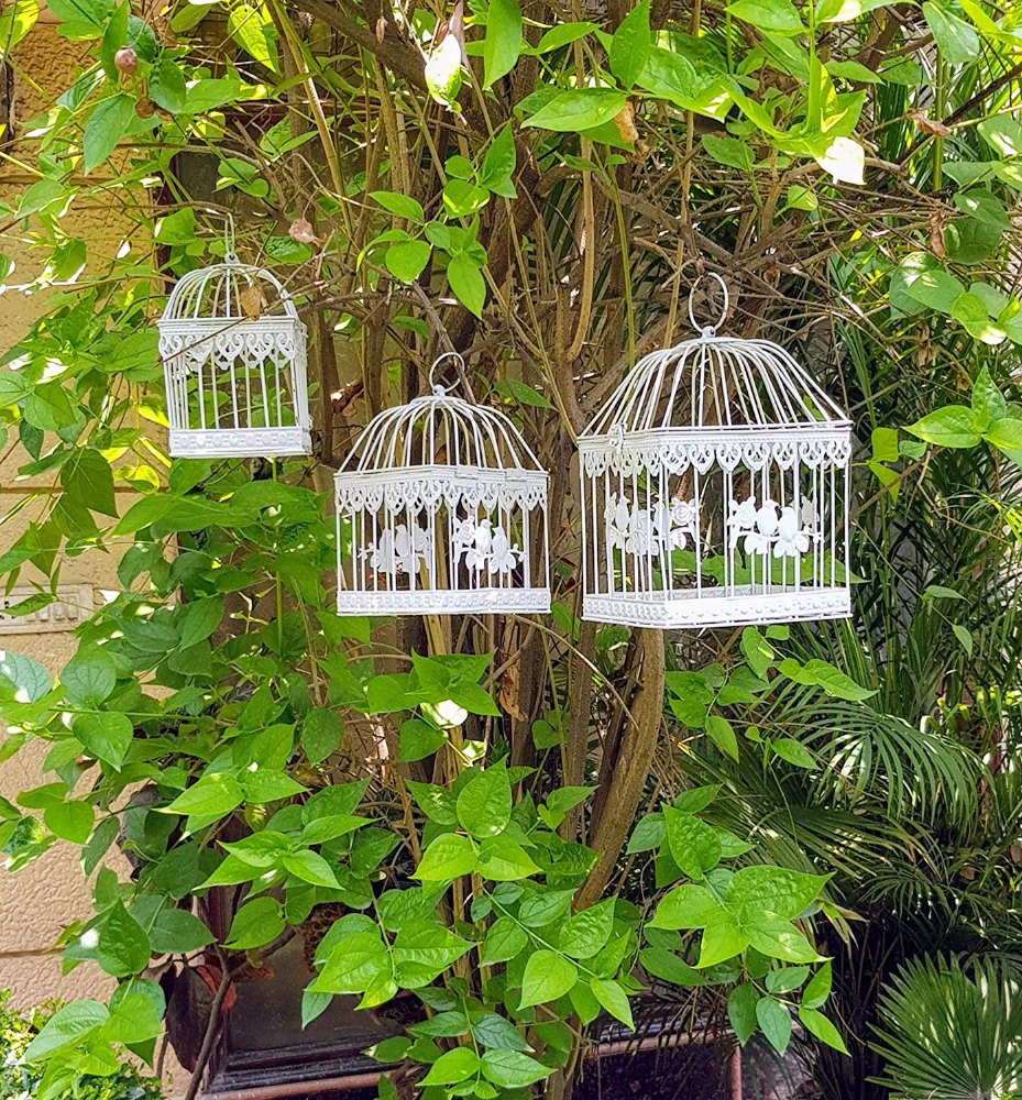 White Wonderland Imported Metal Bird Cage Set, For Fairy Lights & Decor