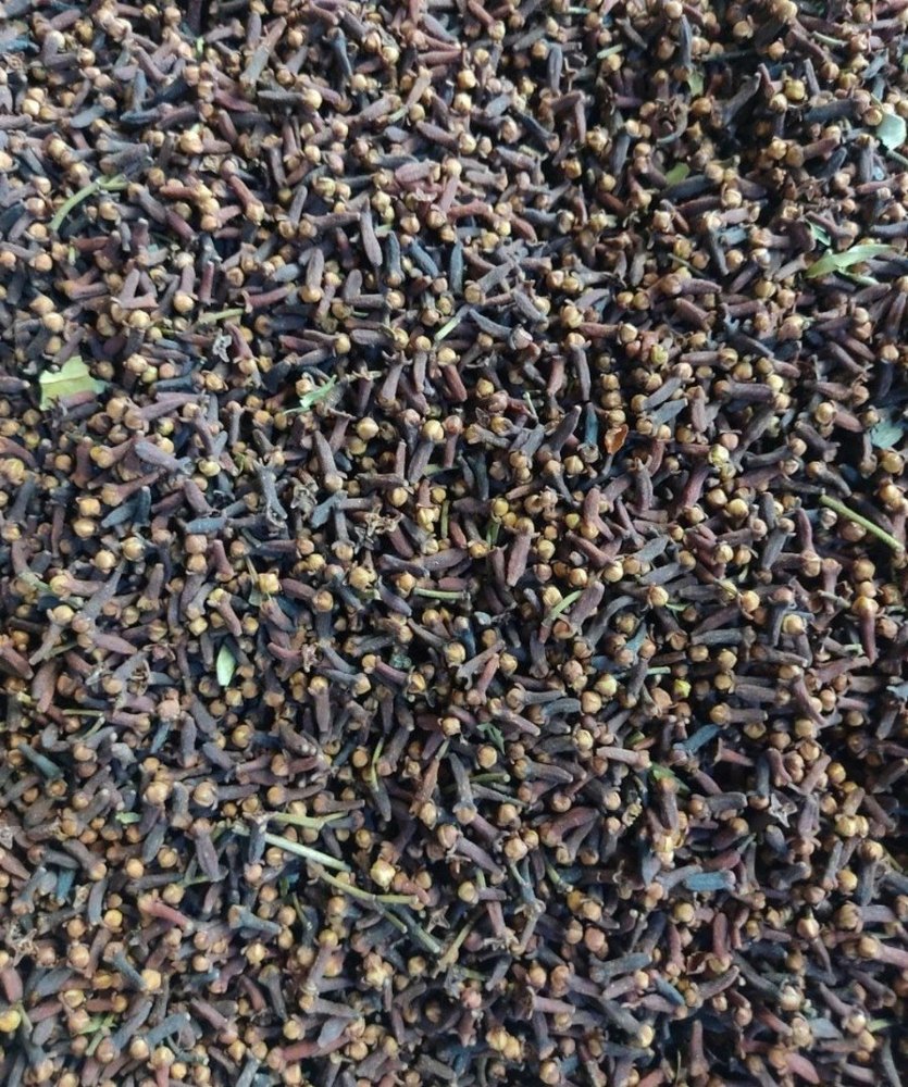 Natural Whole Laung Cloves, Packaging Size: 10 Kg