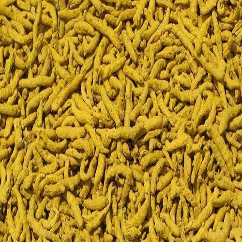 Turmeric, 25 Kg, Finger