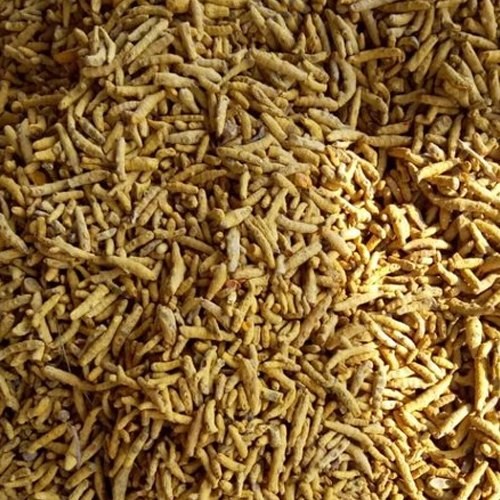 Single Polish Turmeric Finger, 50 Kg