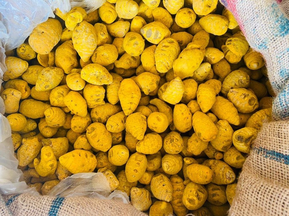 Yellow Turmeric Bulb, 50 kg