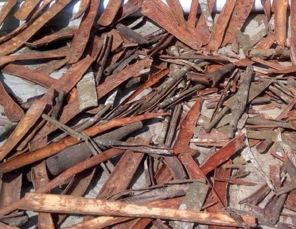 Cinnamon Stick, For Cooking and Medicinal, Packaging Type: Plastic Bag