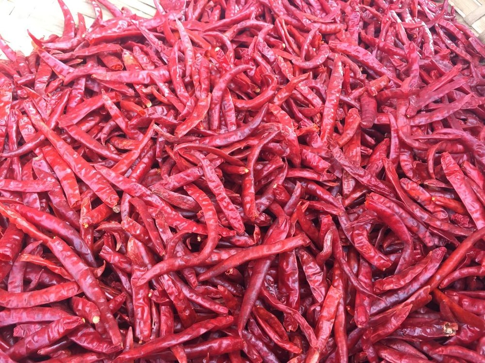 Red A Grade New Crop Teja Chilli Without Stem, For Cooking