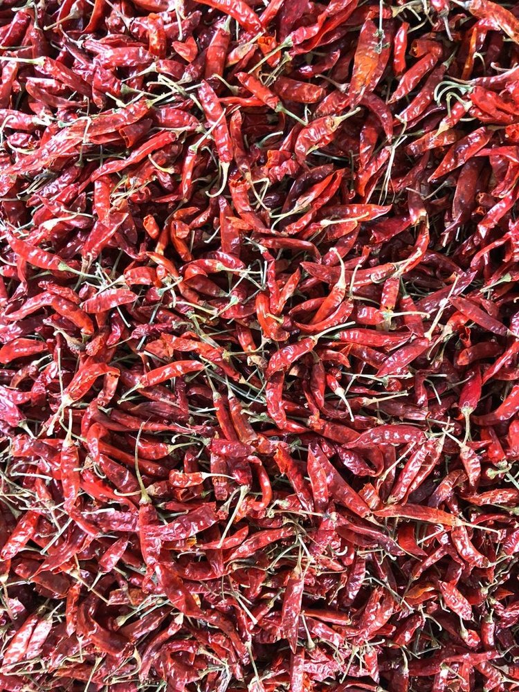 S17 Teja Dry Red Chilli