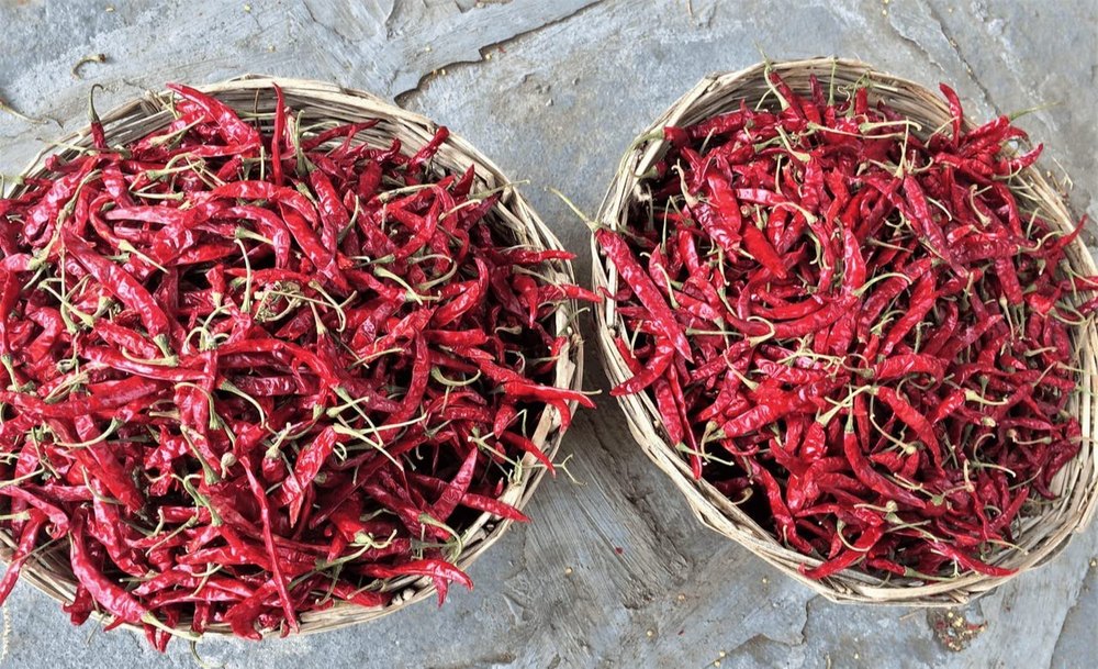 Teja Red Chilli
